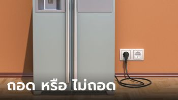 ไม่อยู่บ้านหลายวันต้อง "ถอดปลั๊กตู้เย็น" ไหม ตู้เย็นจะพังหรือเปล่า