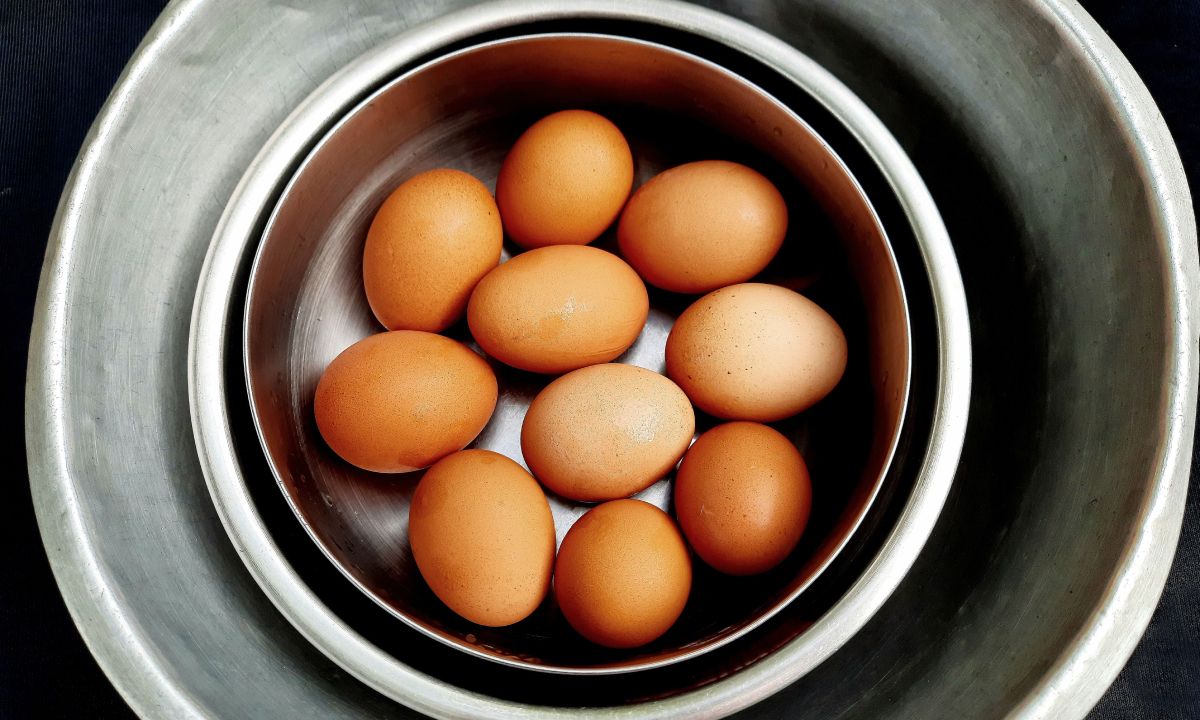 วิธีอุ่นร้อน "ไข่ต้ม" ให้ปลอดภัย ทำไมห้ามอุ่นในไมโครเวฟ
