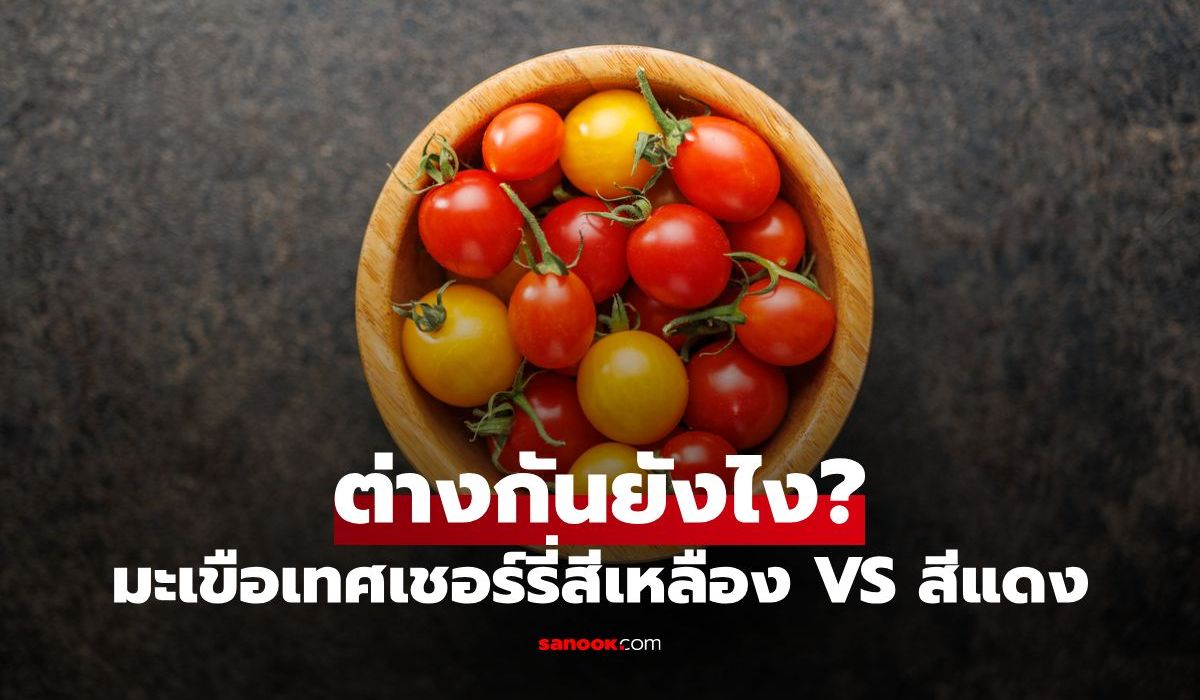 มะเขือเทศเชอร์รี่สีเหลือง VS สีแดง ต่างกันยังไง? เลือกแบบไหนดีต่อสุขภาพ