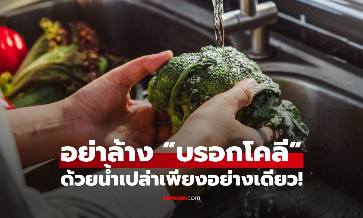 อย่าล้าง “บรอกโคลี” ด้วยน้ำเปล่าอย่างเดียว! เคล็ดลับการล้างให้สะอาดที่สุด