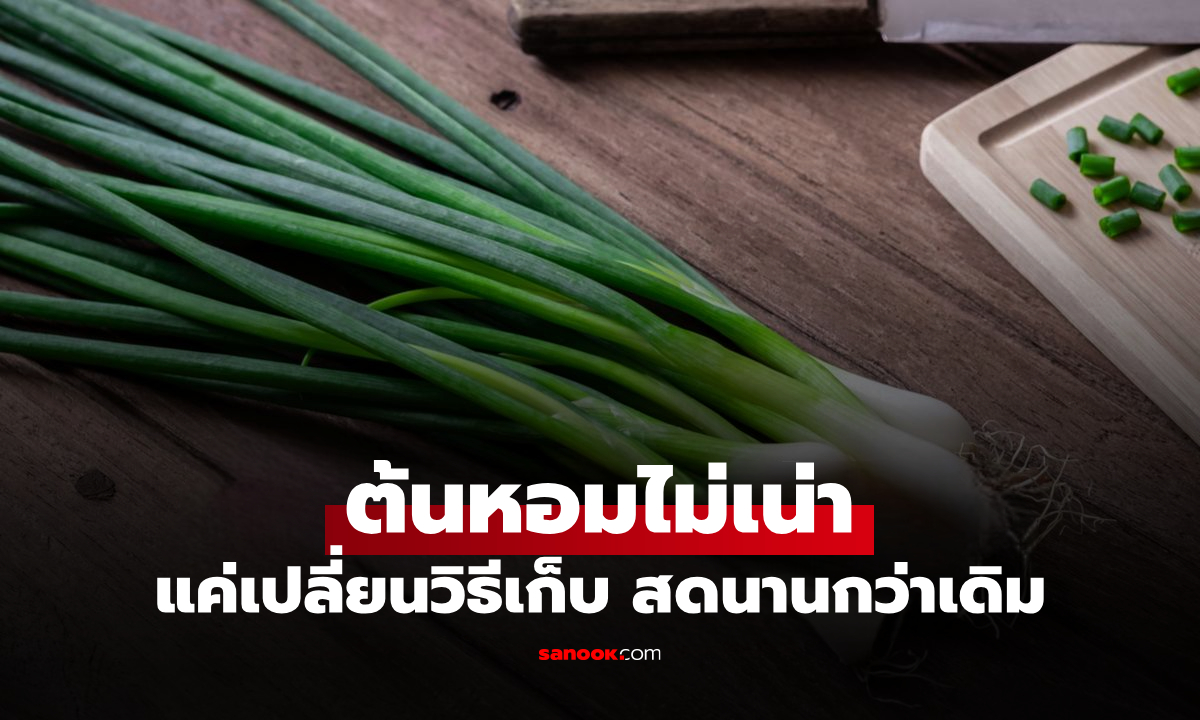 หลายคนเก็บผิด! วิธีเก็บ “ต้นหอม” ให้สดยาวนานแบบไม่เคยรู้มาก่อน