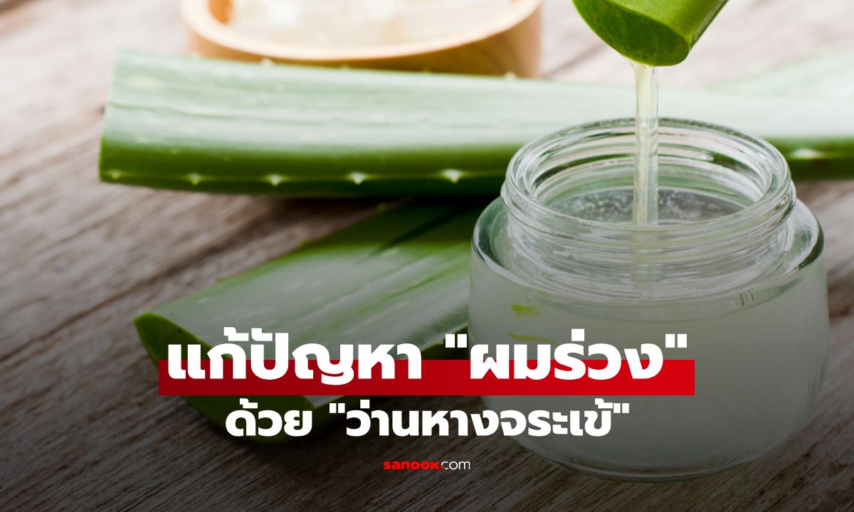 แก้ปัญหา "ผมร่วง" ด้วย "ว่านหางจระเข้" สูตรธรรมชาติที่ทำได้เองที่บ้าน