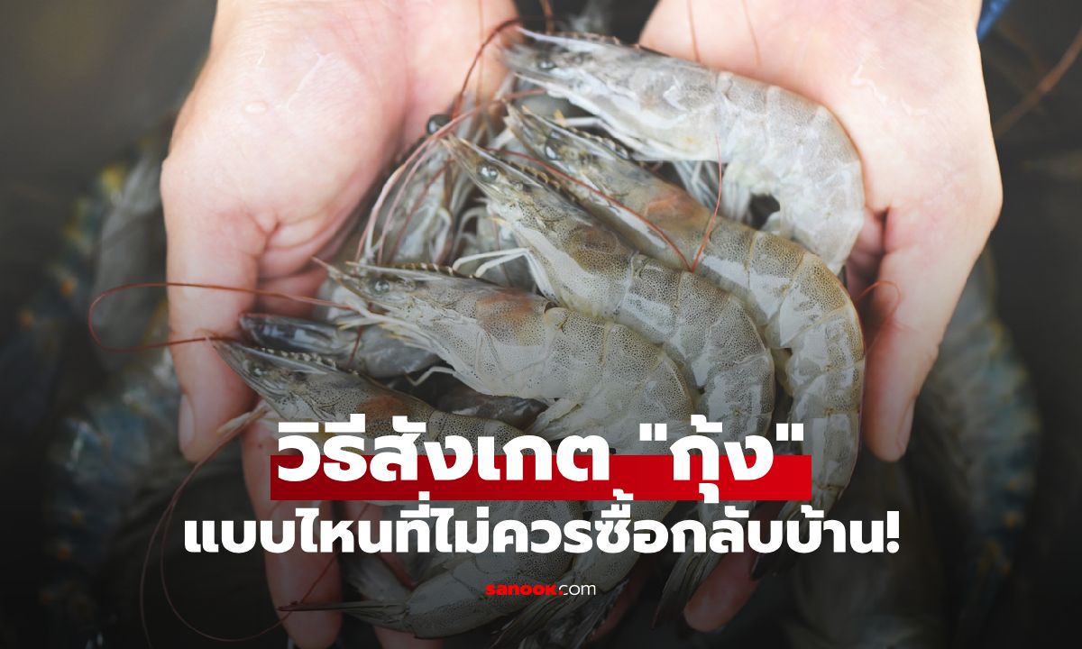 “กุ้ง” แบบไหนไม่ควรซื้อกลับบ้าน สังเกตได้ใน 5 วินาที