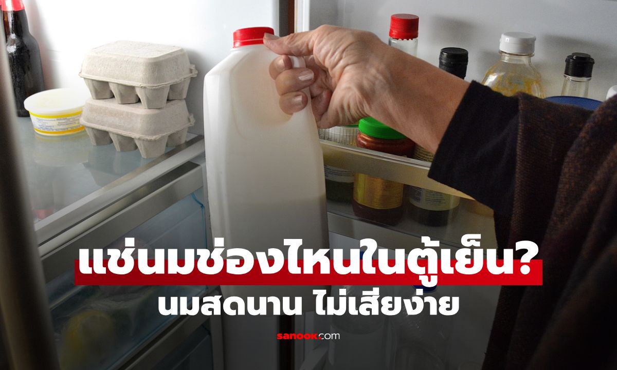 แช่นมช่องไหนในตู้เย็น? นมสดนาน ไม่เสียง่าย