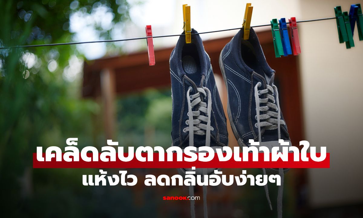 วิธีตากรองเท้าผ้าใบให้แห้งไว ลดกลิ่นอับง่ายๆ ทำตามได้จริง
