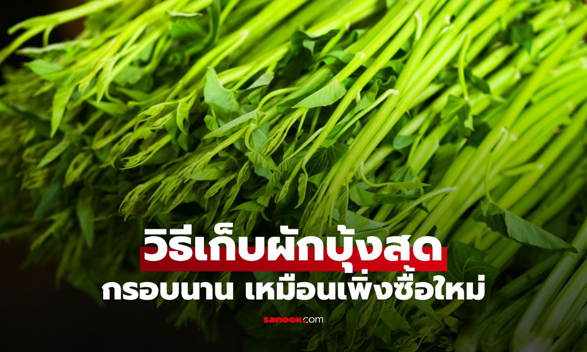 เคล็ดลับเก็บผักบุ้งสดให้กรอบนาน 2 สัปดาห์ เหมือนเพิ่งซื้อใหม่