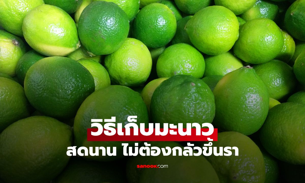 วิธีเก็บมะนาวให้สดนาน 6 เดือน ไม่ต้องกลัวขึ้นรา