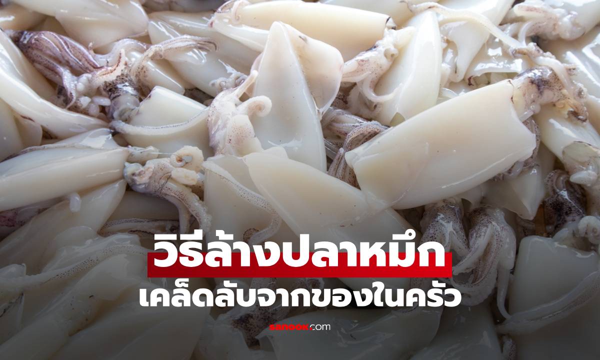 วิธีล้างปลาหมึกไม่ให้คาว เคล็ดลับง่าย ๆ ที่ทำได้ในครัว