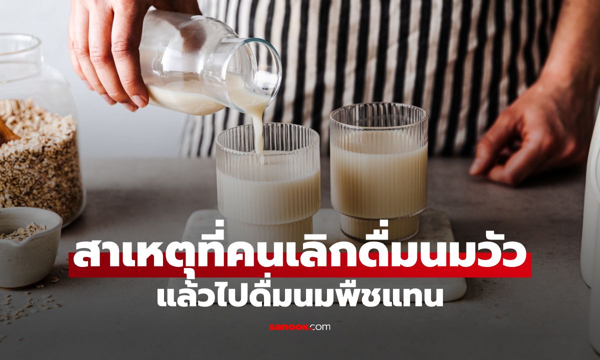 สรุปให้แล้ว! 5 เหตุผลที่คนรุ่นใหม่เลิกดื่มนมวัวไปดื่มนมพืชแทน
