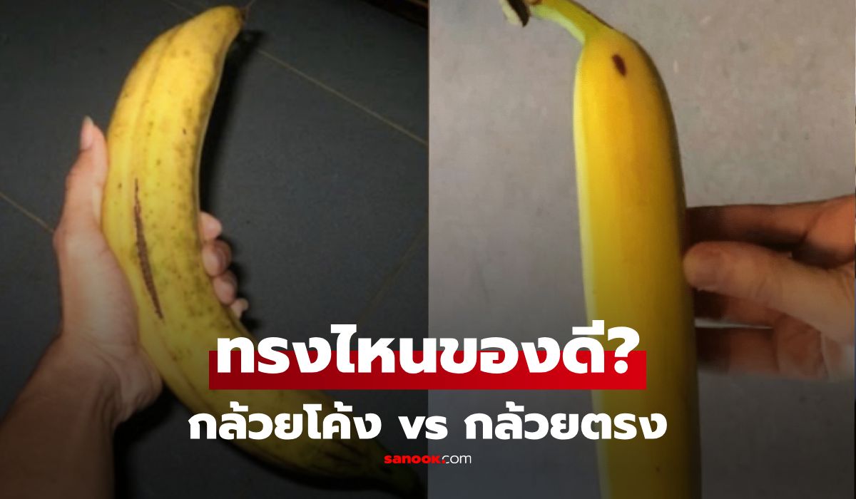 กล้วยโค้ง vs กล้วยตรง เลือกแบบไหนถึงจะได้ของดี? แค่ชำเลืองก็มองออกว่าควรซื้อ!