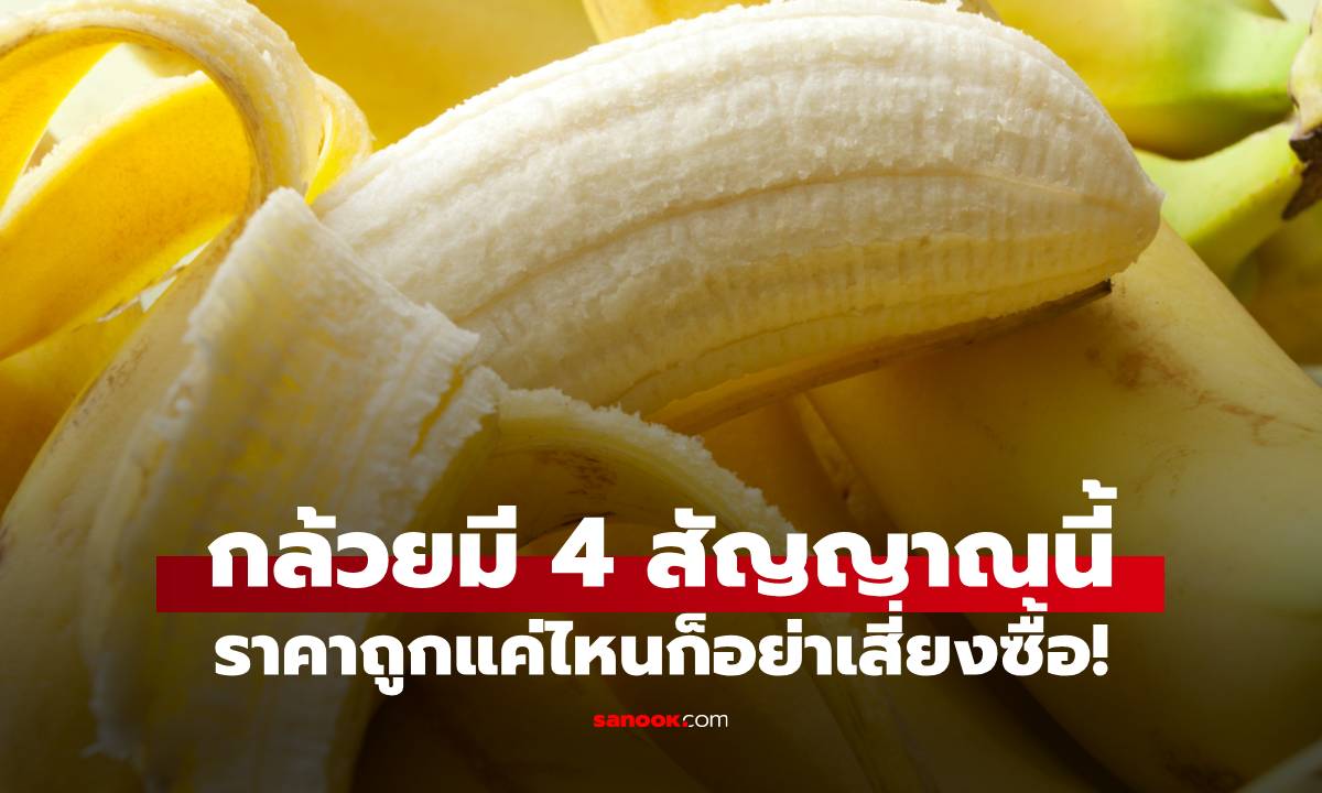 เวลาซื้อกล้วย ต้องสังเกต 4 สัญญาณนี้ ราคาถูกแค่ไหนก็อย่าเสี่ยง!