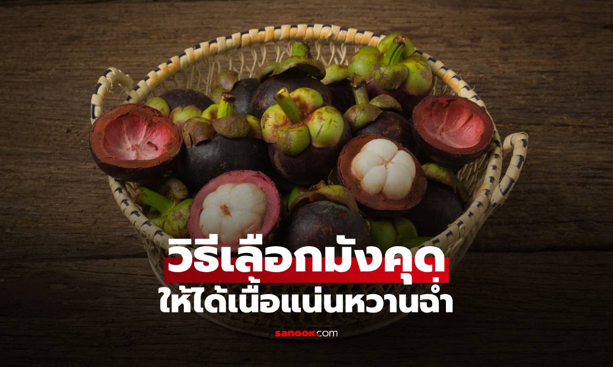 เลือกมังคุดอย่างไรให้ได้เนื้อแน่นหวานฉ่ำ ไม่เจอเมล็ดเต็ม