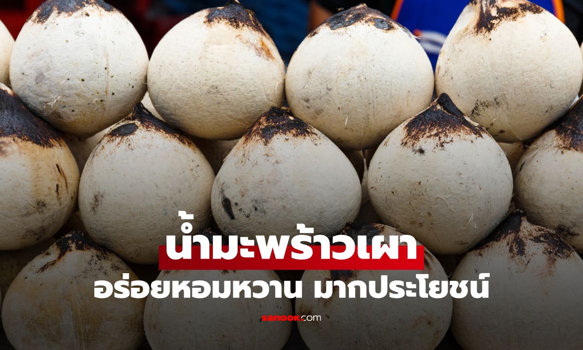 ประโยชน์ของน้ำมะพร้าวเผา คุณประโยชน์มากมาย กับรสชาติหอมหวานชื่นใจกว่าเดิม