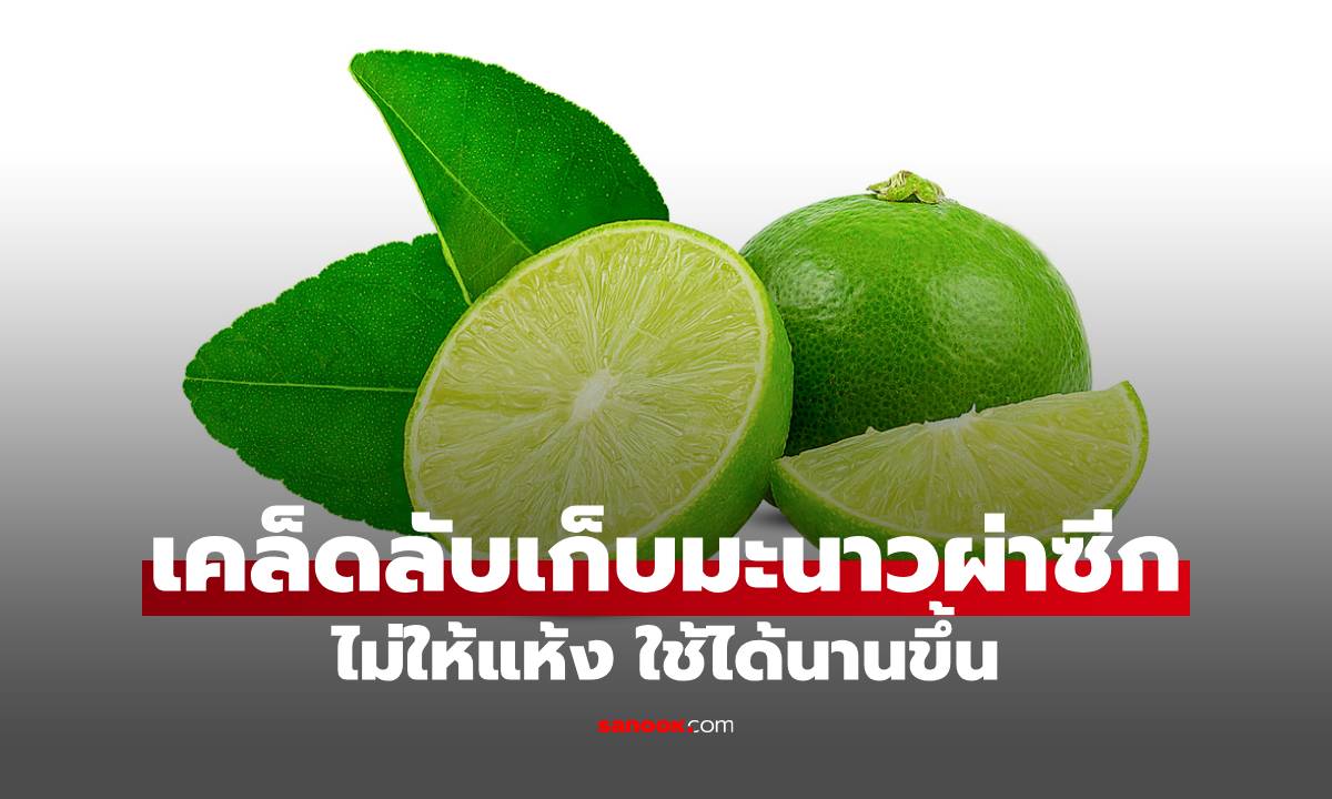 เคล็ดลับเก็บมะนาวผ่าซีกไม่ให้แห้ง ใช้ได้นานขึ้น