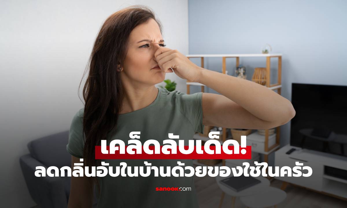 เคล็ดลับเด็ด! ลดกลิ่นอับในบ้านด้วยของใช้ในครัวที่หาได้ง่าย ไม่ต้องใช้สารเคมี!