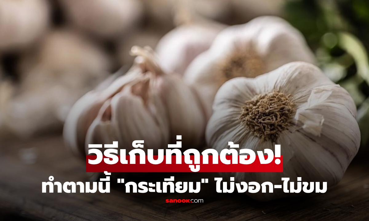 "กระเทียม" จะไม่งอกหรือขม ถ้าเก็บไว้ที่ "ตำแหน่งนี้" ในห้องครัว แน่นอนว่าไม่ใช่ในตู้เย็น!