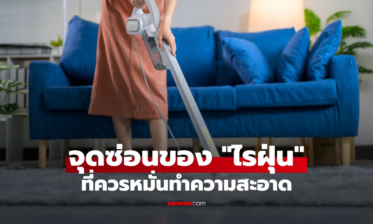 จุดซ่อนของ "ไรฝุ่น" ที่ควรหมั่นทำความสะอาด เพื่อสุขภาพที่ดีของคนในบ้าน