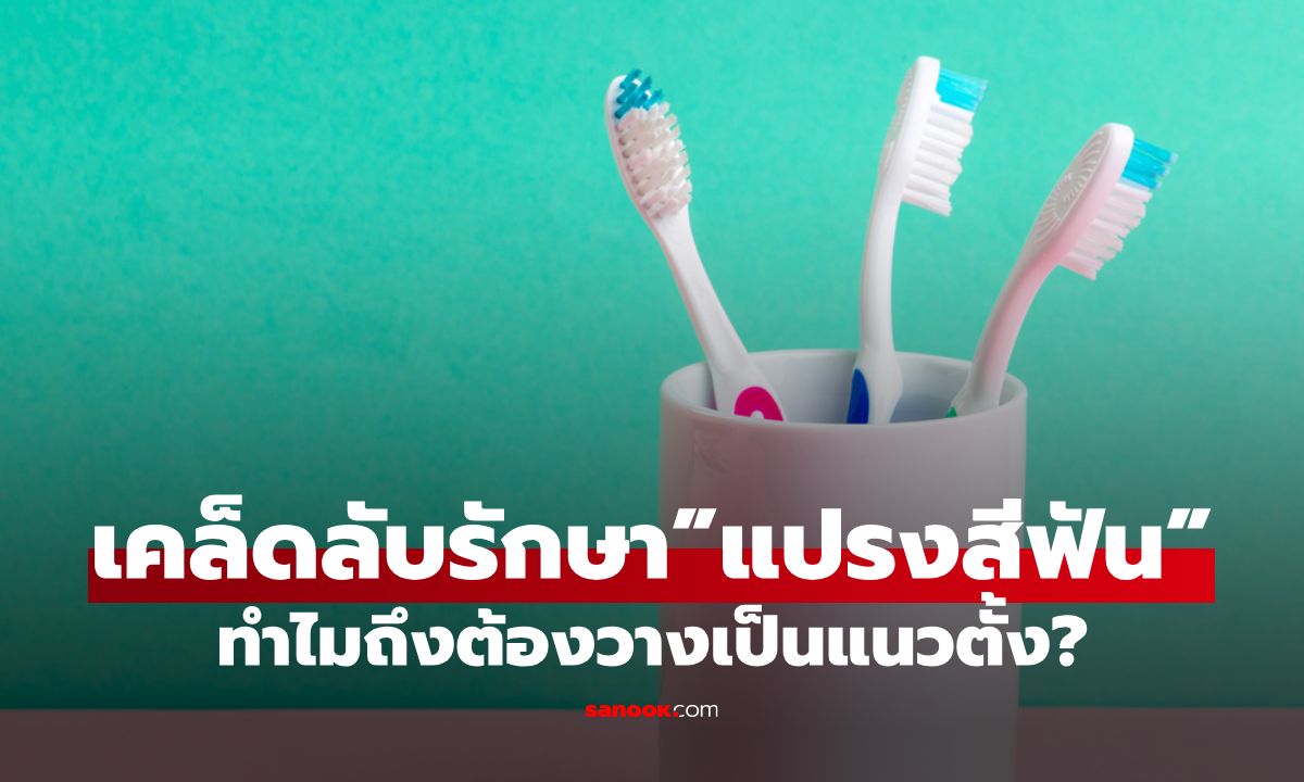 ไขข้อสงสัย ทำไม”แปรงสีฟัน”ถึงควรเก็บเป็นแนวตั้ง? เคล็ดลับสุขอนามัยที่หลายคนไม่รู้