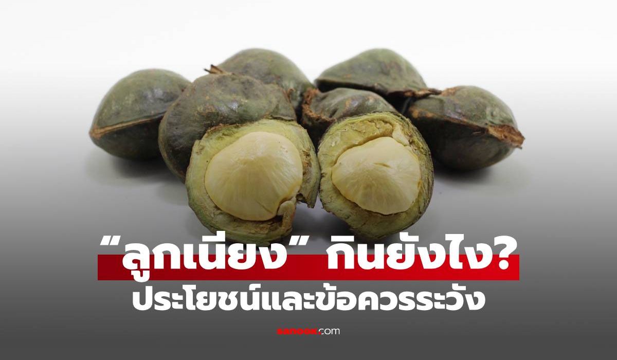 “ลูกเนียง” กินยังไง? ทำความรู้จักผักพื้นบ้านภาคใต้ พร้อมประโยชน์และข้อควรระวัง