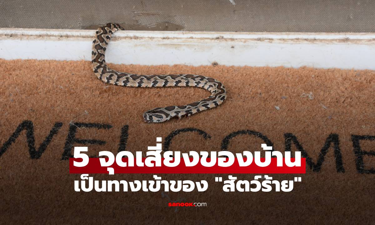 5 จุดเสี่ยงของบ้านที่เป็นทางเข้าของ "สัตว์ร้าย" พร้อมวิธีป้องกันบุกรุก