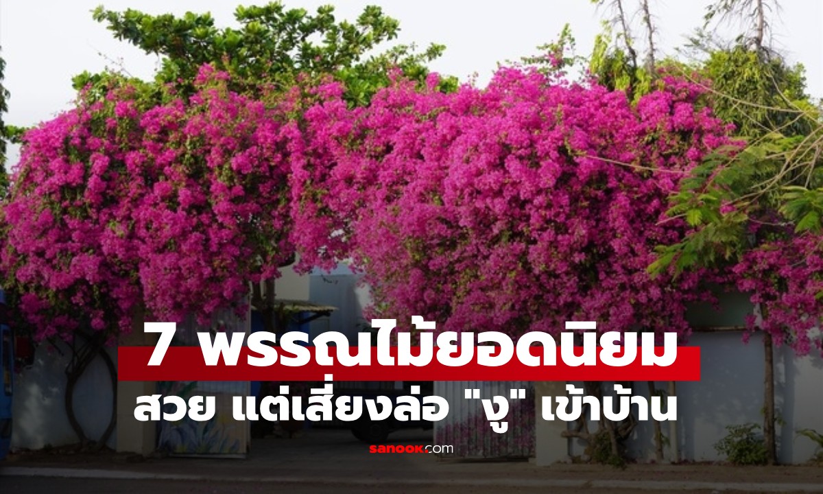 7 พรรณไม้สวยแต่เสี่ยงดึงดูด “งู” เข้าบ้าน หากปลูกควรระวังเป็นพิเศษ