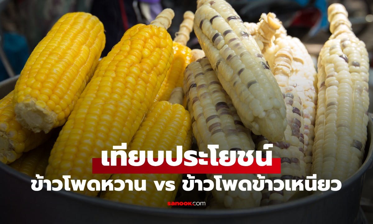 เทียบประโยชน์ ข้าวโพดหวาน vs ข้าวโพดข้าวเหนียว แบบไหนดีต่อสุขภาพกว่ากัน?