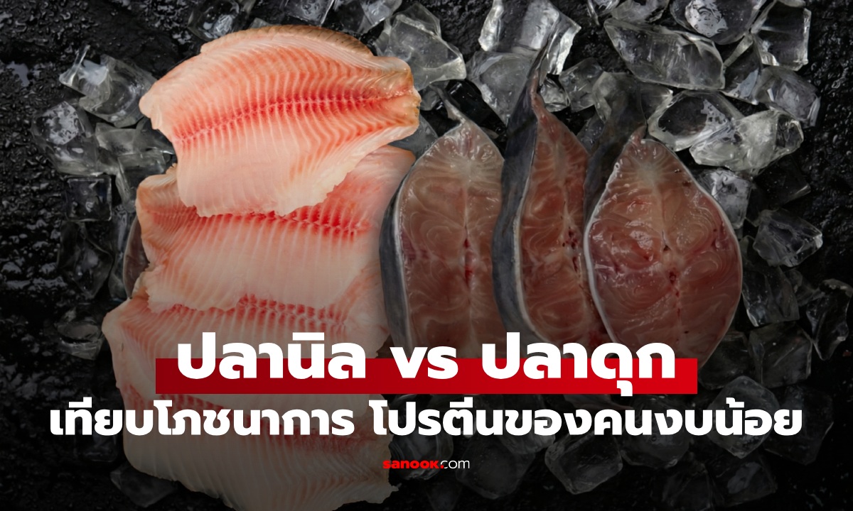 เปรียบเทียบ ปลานิล vs ปลาดุก แหล่งโปรตีนราคาบ้านๆ อะไรดีต่อสุขภาพมากกว่า