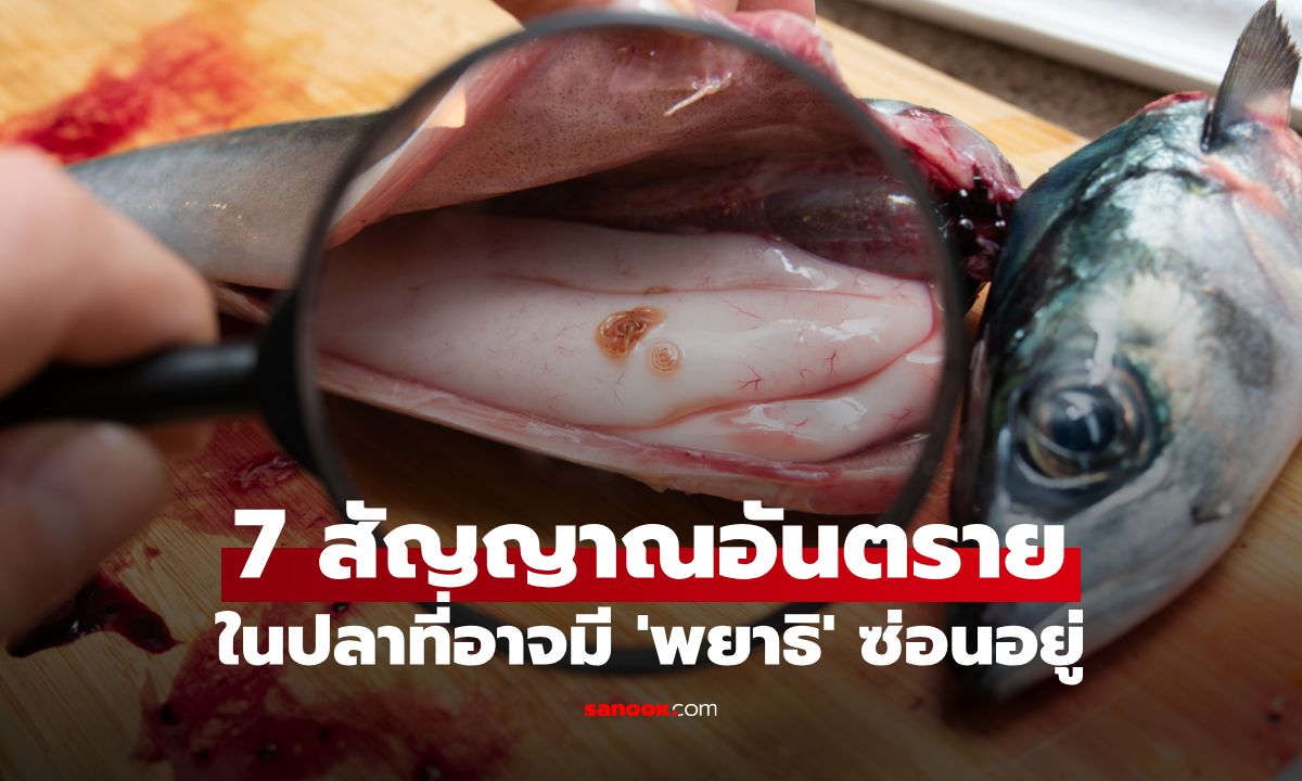 7 สัญญาณอันตรายในปลาที่อาจมี 'พยาธิ' ซ่อนอยู่ เช็กให้ดีก่อนซื้อกลับบ้าน!