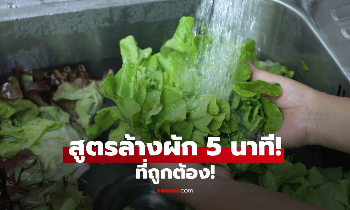 สูตรล้างผัก 5 นาที! เคล็ดลับแช่น้ำเกลือให้ผักกรอบนาน ช่วยกำจัดไข่พยาธิและสิ่งสกปรกได้เกลี้ยง