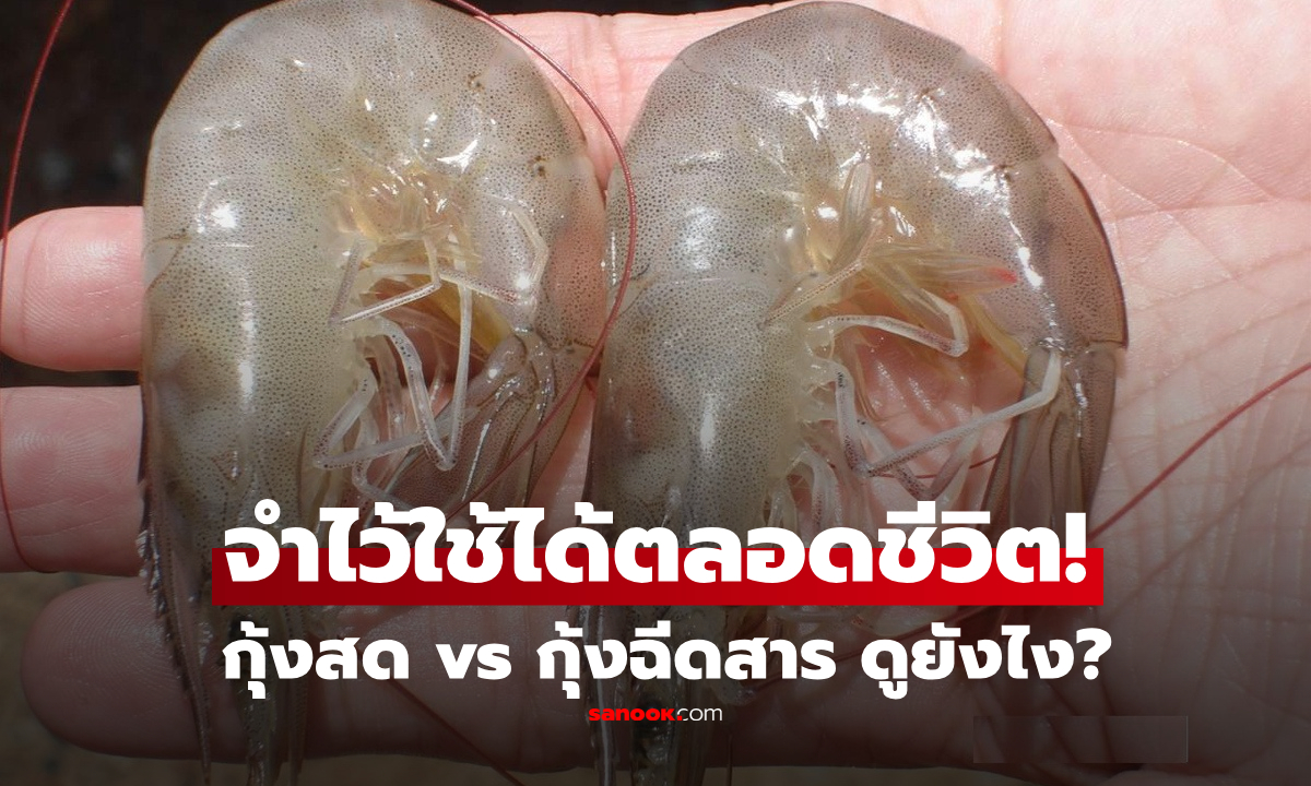 ซื้อกุ้งดูให้เป็น! เปิดคัมภีร์เลือก "กุ้งสด" vs "กุ้งฉีดสาร" จำไว้ใช้ได้ตลอดชีวิต ไม่โดนหลอกขาย