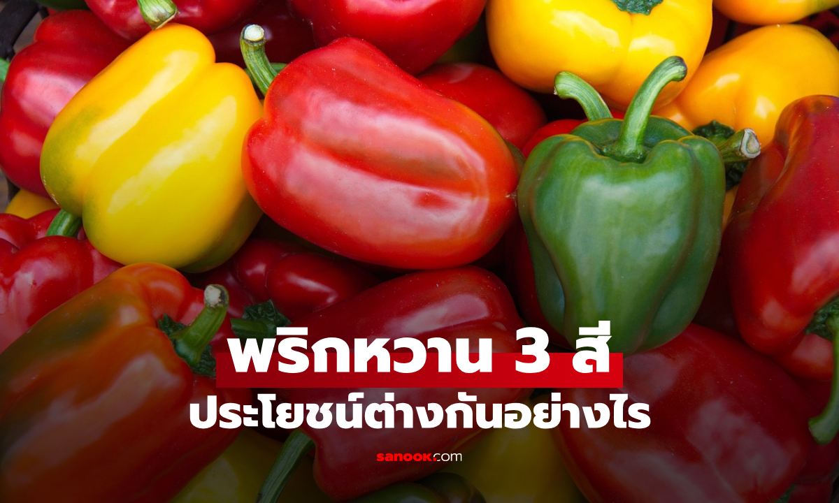 พริกหวาน 3 สี แดง เหลือง เขียว ประโยชน์ต่างกันอย่างไร สีไหนดีที่สุด