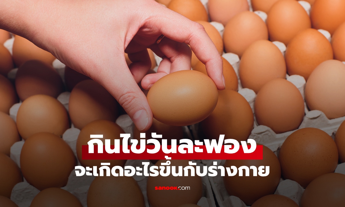 หากเรากิน "ไข่วันละฟอง" เปิดผลวิจัย จะเกิดอะไรขึ้นกับร่างกาย?