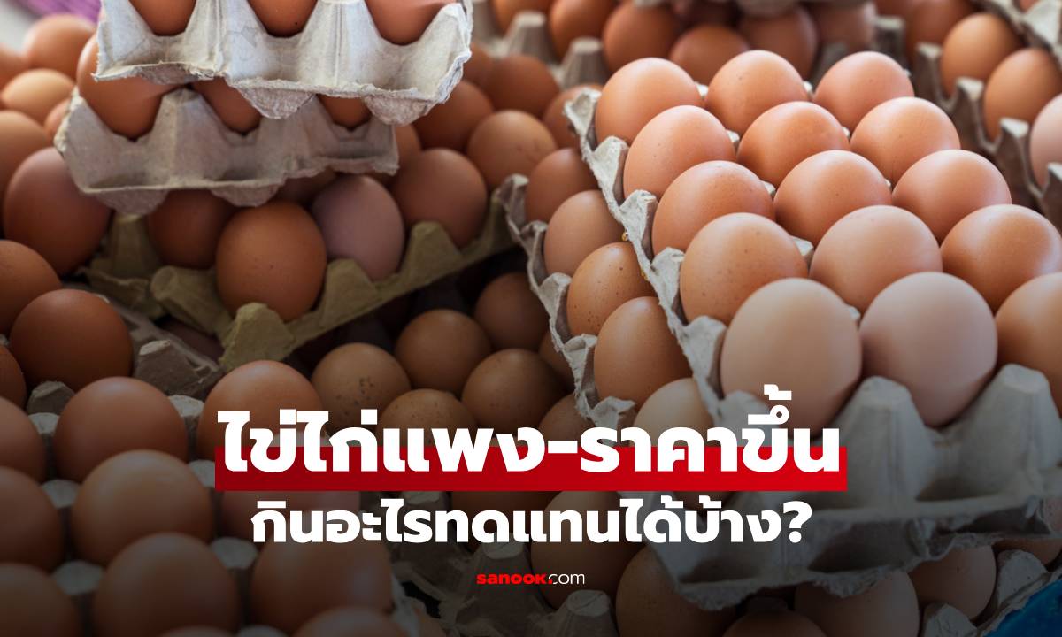 ไข่ไก่ราคาขึ้น กินอะไรแทนได้บ้าง? 4 อาหาร "โปรตีนทางเลือก" สารอาหารแน่น ดีต่อสุขภาพ!