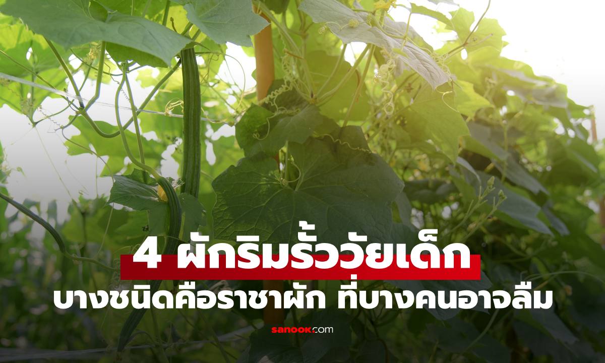 4 ผักริมรั้ววัยเด็ก บางชนิดคือราชาผัก และเด็กรุ่นใหม่อาจไม่รู้จักแล้ว