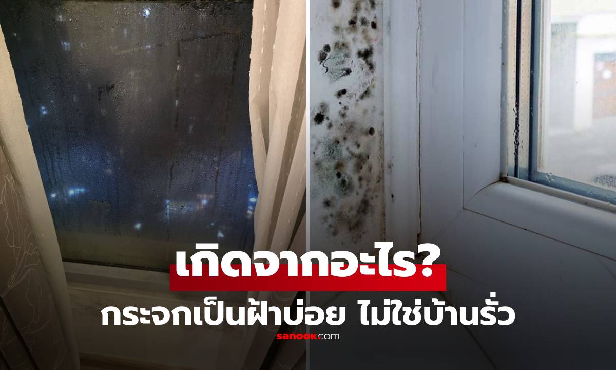บ้านใครเป็นบ้าง! กระจกขึ้นฝ้าบ่อยๆ โดยเฉพาะเมื่ออากาศเย็น ไม่ใช่น้ำรั่ว แล้วสาเหตุคืออะไร?