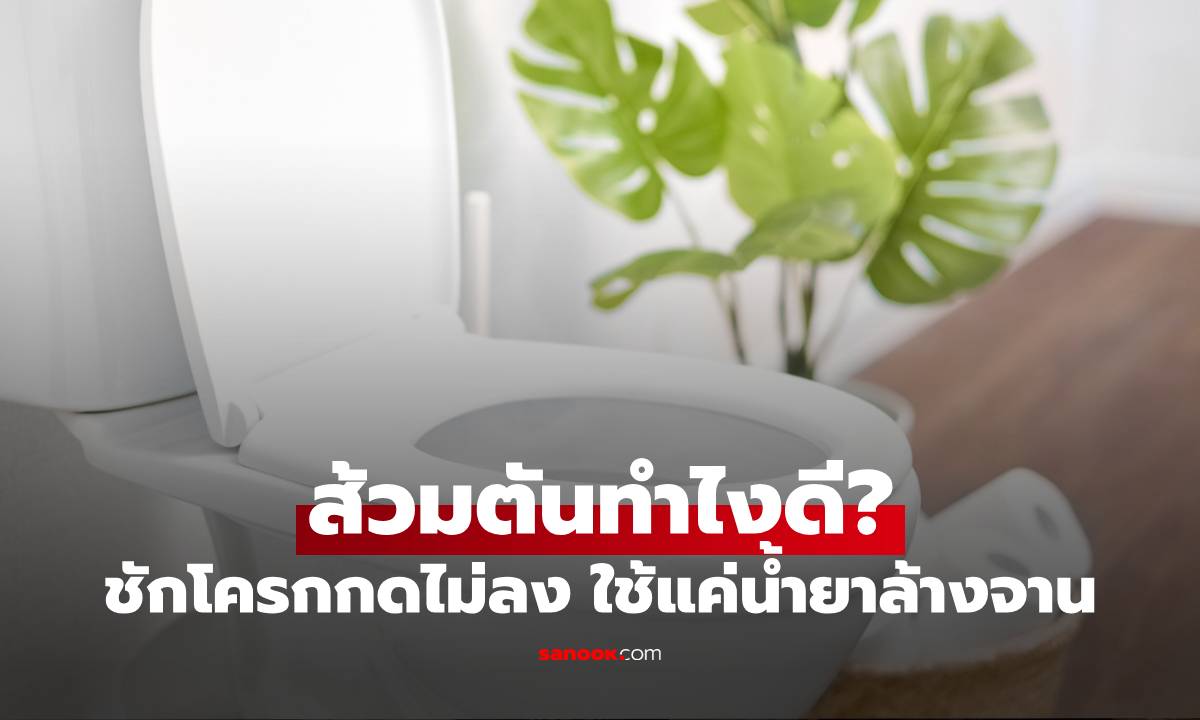 ส้วมตันทํายังไง! วิธีแก้ชักโครกกดไม่ลง ไม่ต้องใช้ไม้ปั๊ม ใช้แค่น้ำยาล้างจาน