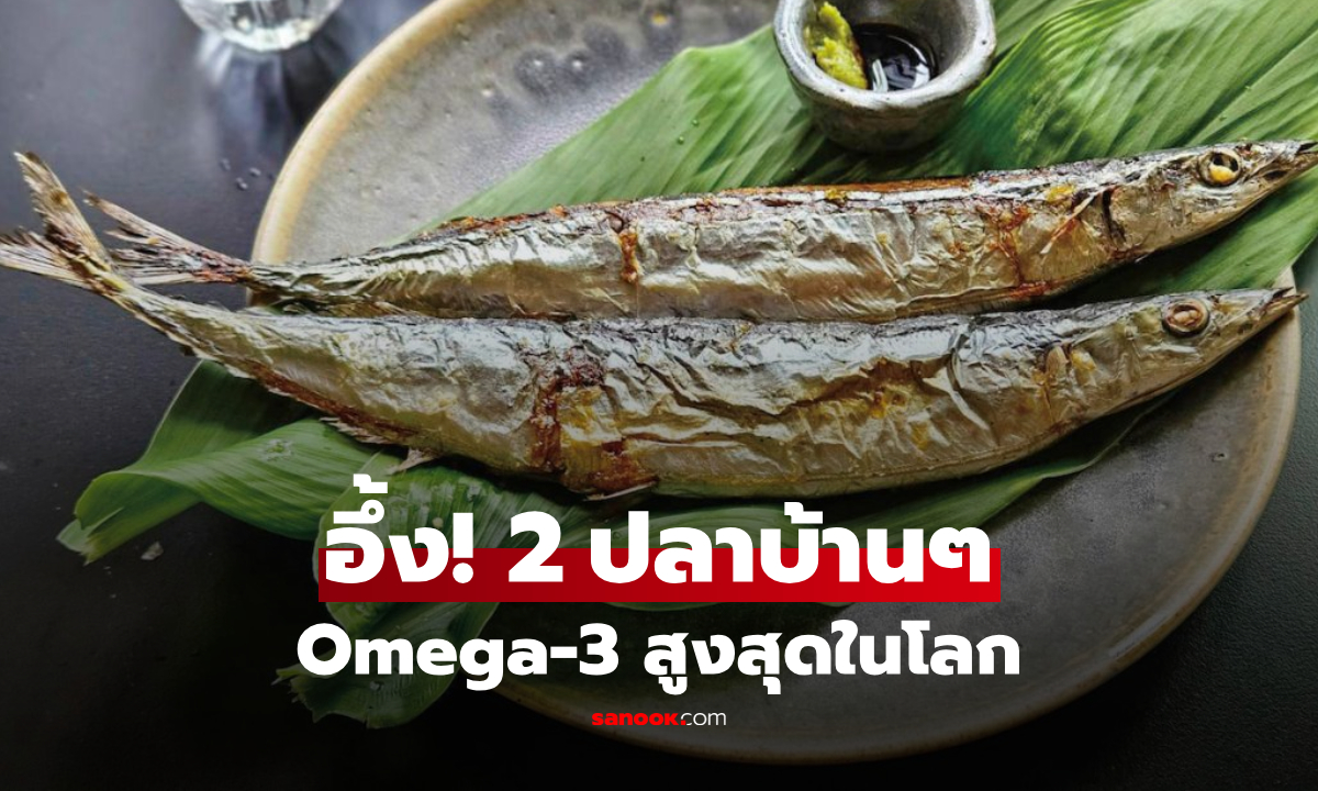 ไม่แพงเหมือนแซลมอน! ปลาบ้านๆ คว้าแชมป์โอเมก้า-3 กินแล้วเลือดสะอาด-สายตาดี