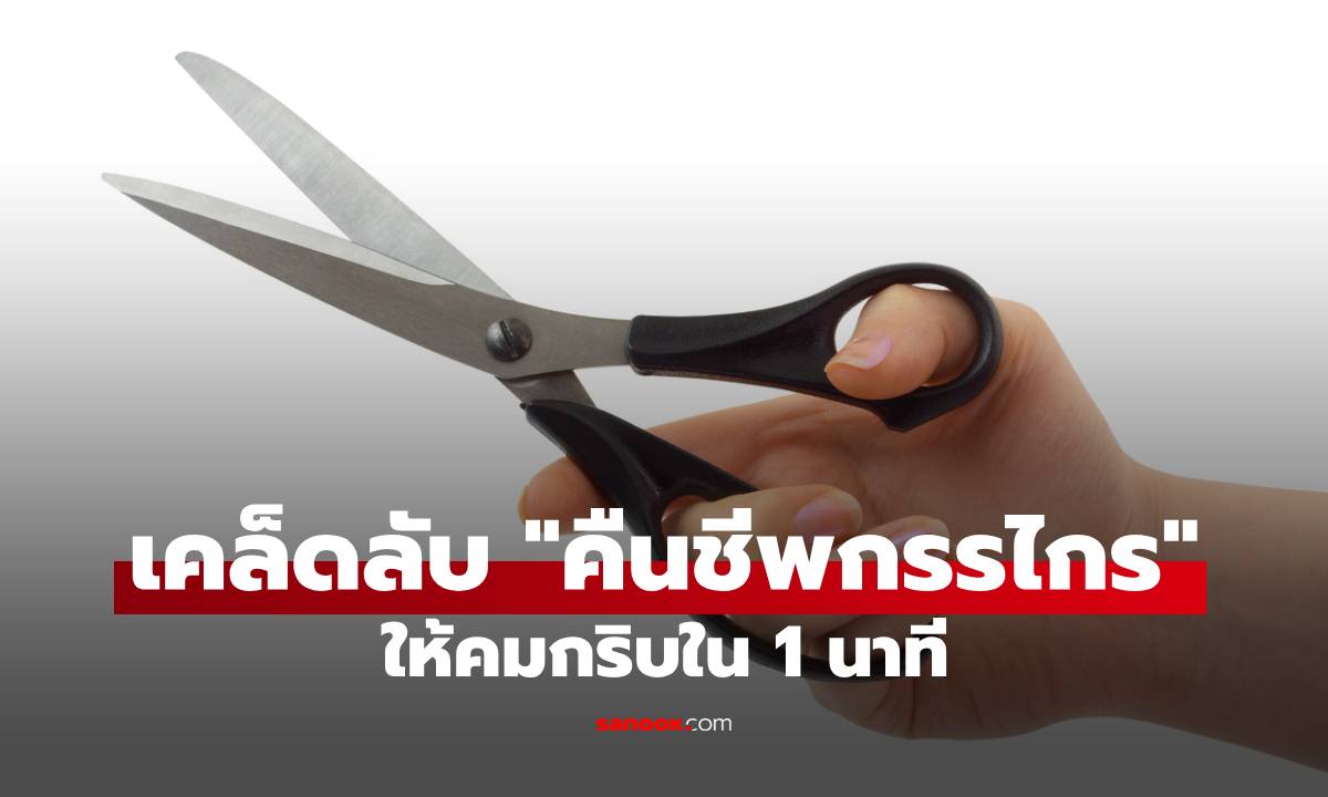 ภาพกรรไกรทื่ออย่าเพิ่งทิ้ง! เผยเคล็ดลับ "คืนชีพกรรไกร" ให้คมกริบใน 1 นาที