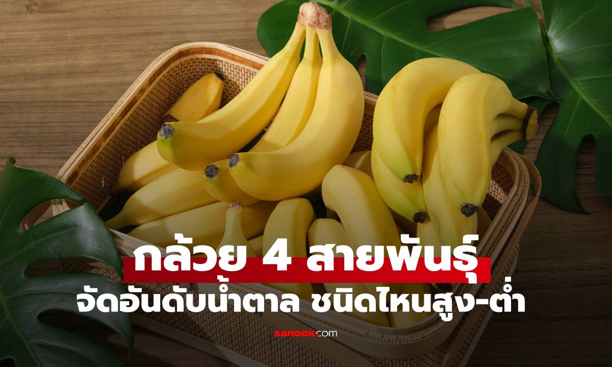 "กล้วย 4 ชนิด" จัดอันดับค่าน้ำตาล ชนิดไหนสูง-ต่ำ เช็กเลยเพื่อสุขภาพ