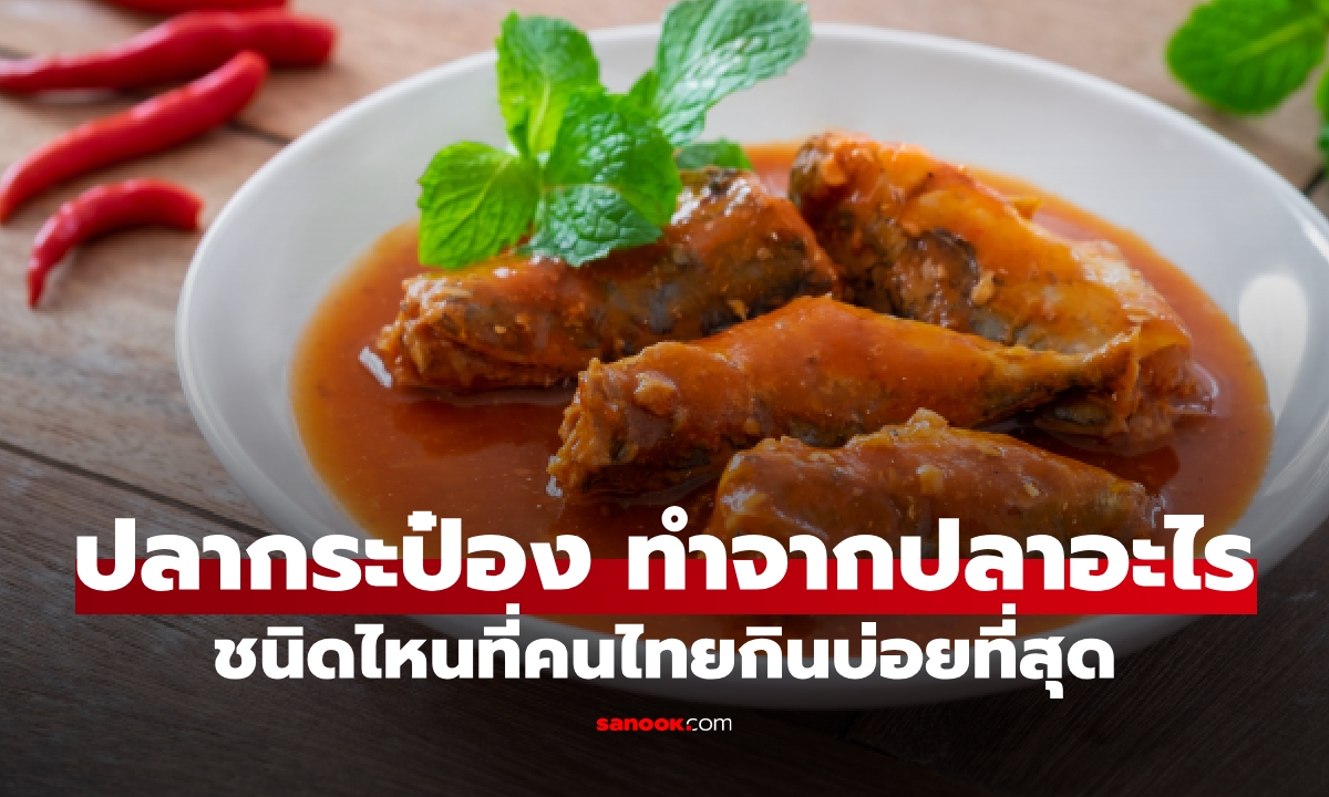 กินมาตั้งนานเพิ่งรู้! ปลากระป๋องทำมาจากปลาอะไร? คนไทยกินชนิดไหนบ่อยสุด