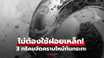 ไม่ต้องใช้ฝอยเหล็ก! 3 ทริคขจัดคราบไหม้ก้นกระทะ ช่วยให้ขัดง่ายขึ้นเยอะ