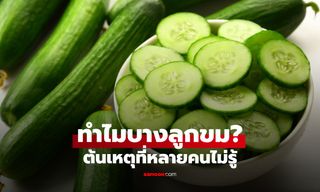 เพิ่งรู้! ทำไมแตงกวาบางลูกถึงขม? ไม่ได้แปลว่าเสียเสมอไป
