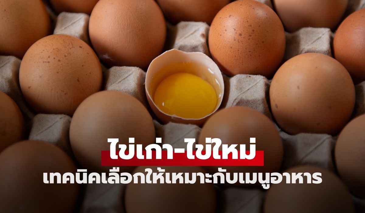 ไข่เก่า-ไข่ใหม่ เจาะลึกความแตกต่าง เทคนิคเลือกไข่ให้เหมาะกับเมนูอาหาร