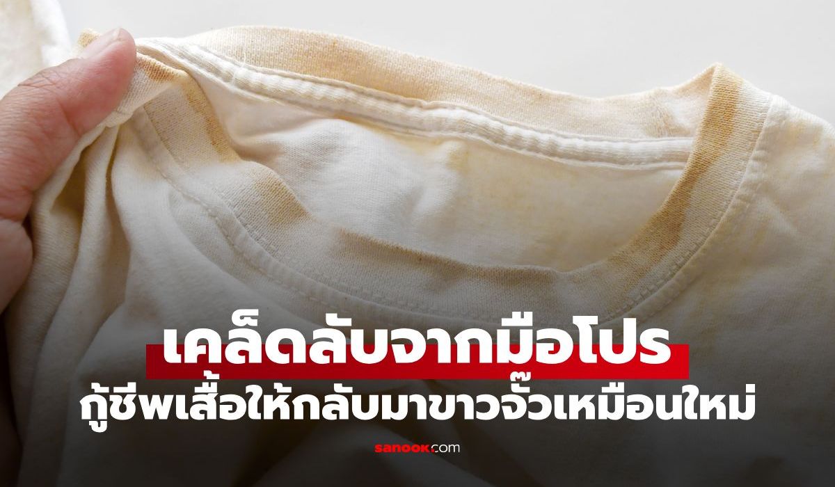 ทำไมเสื้อยืดสีขาวถึงเหลือง? วิธีชุบชีวิตเสื้อขาวให้กลับมาขาวจั๊วเหมือนใหม่