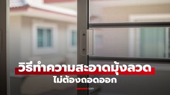 วิธีทำความสะอาดมุ้งลวดโดยไม่ต้องถอด ทำง่าย อุปกรณ์ไม่เยอะ