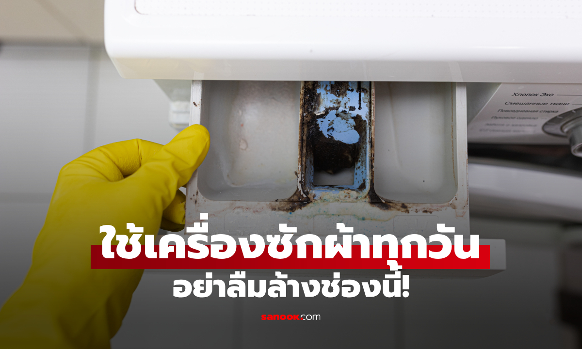 ช่องใส่น้ำยาซักผ้ามีคราบดำ ต้องถอดล้างไหม? วิธีทำความสะอาดที่หลายคนมองข้าม