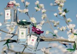 Jo Malone : Blue Skies & Blossoms 3 กลิ่นหอมของดอกไม้แรกแย้มรับฤดูใบไม้ผลิ