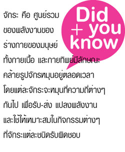 7 สายรุ้งแห่งจักระสุขภาพ