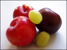 CO-Q10 กำลังมาแรง