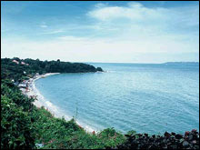 ครอบครัว HONEYMOON